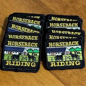16 Horseback Riding Fun Patches Badges Girl Scouts Scouting Rectangle Black Lot
